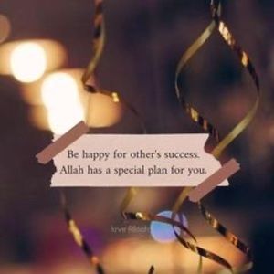 Meet your Posher, Sayed parwiz